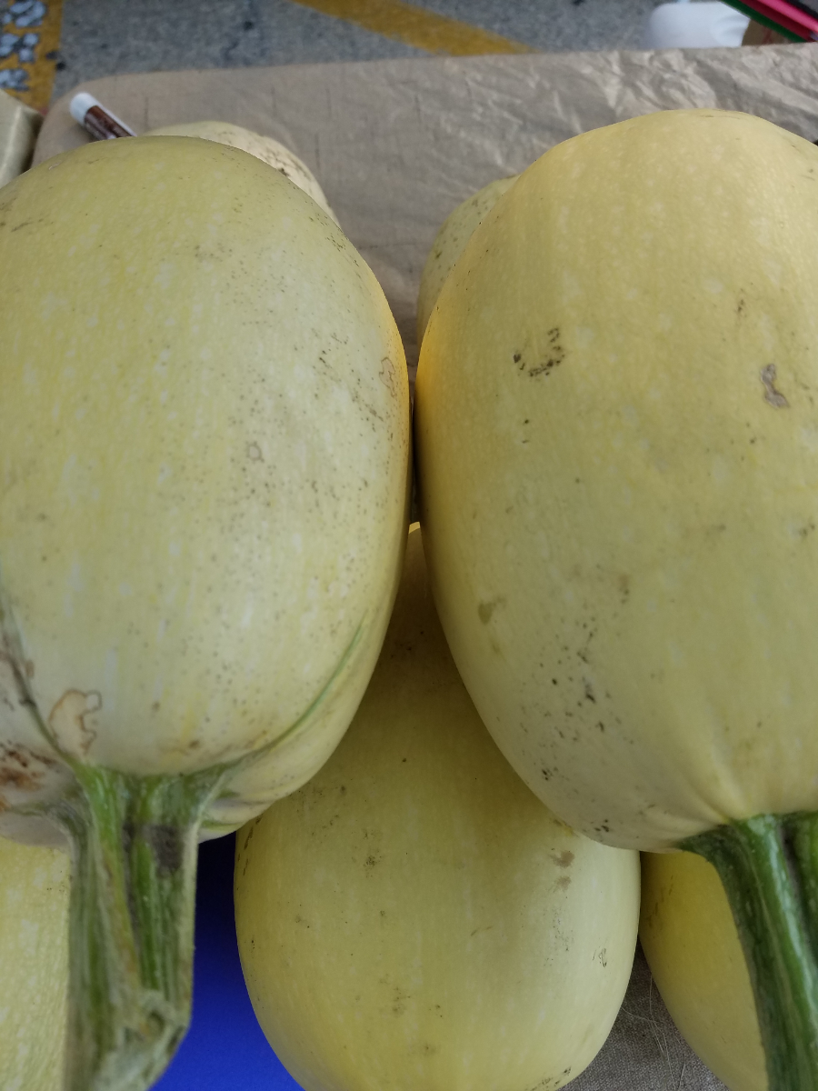 spaghetti-squash--3